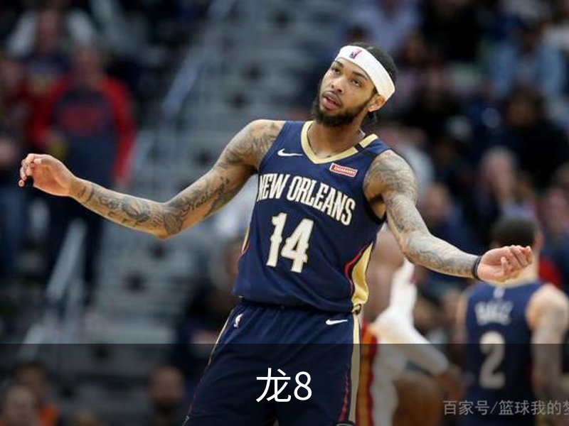 龙8介绍